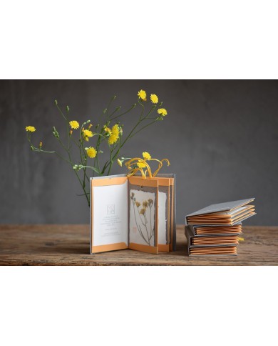 Baccello Book - Crepis Baccello Book - Crepis