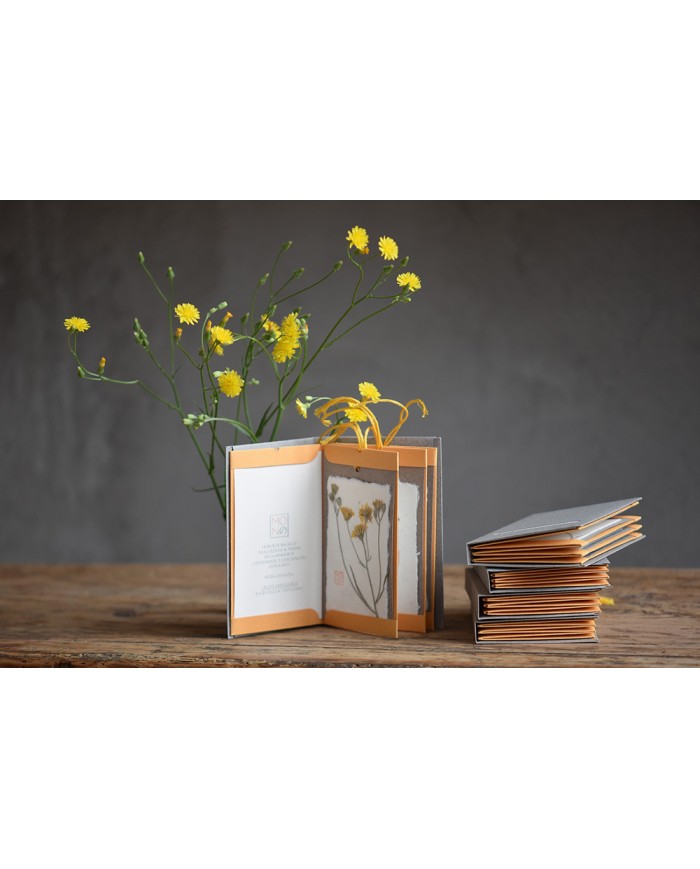 Baccello Book - Crepis