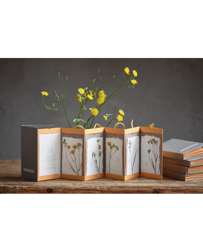 Baccello Book - Crepis