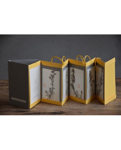 Baccello Book - Gallium verum