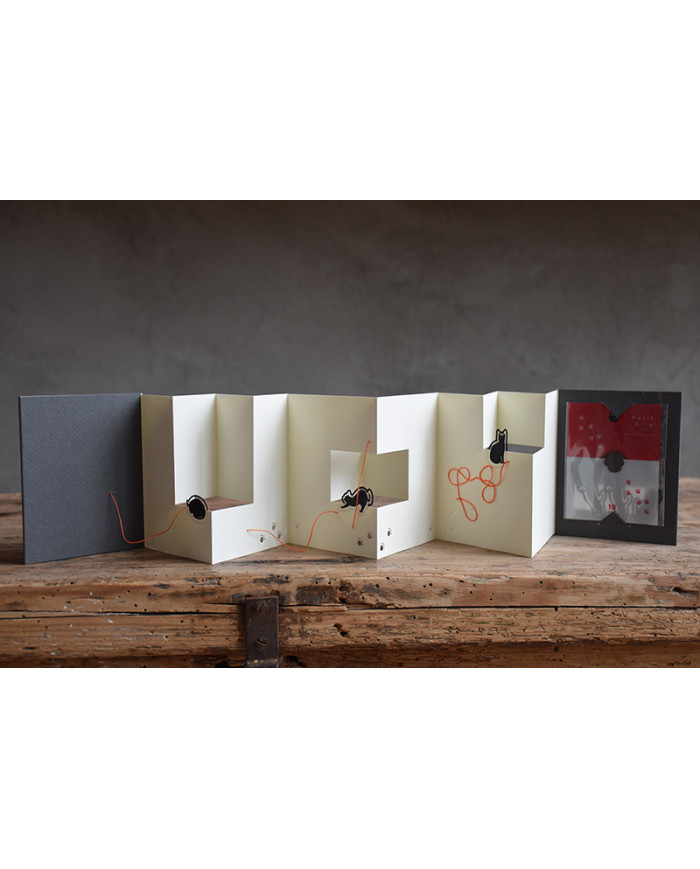 1 Sul filo del gomitolo