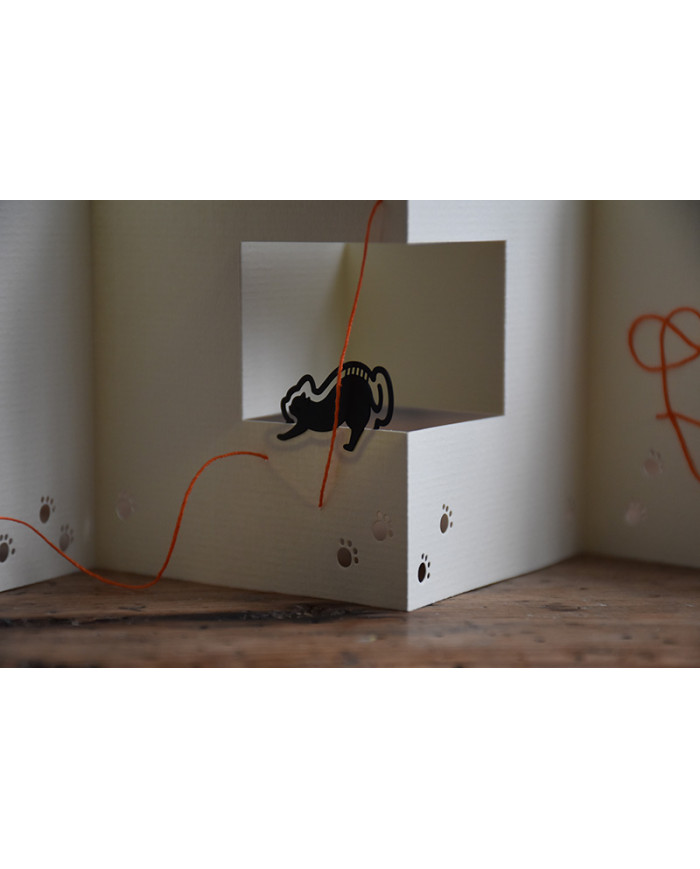 1 Sul filo del gomitolo