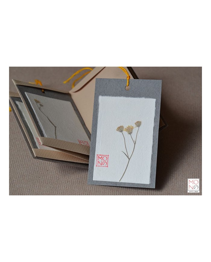 Baccello Book - Crepis