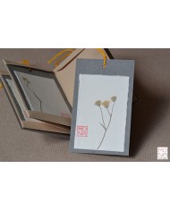 Baccello Book - Crepis